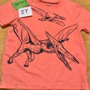 Dinosaur shirt